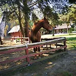 Szablewski 3* Dymaczewo Nowe