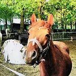 Hotel Szablewski Dymaczewo Nowe