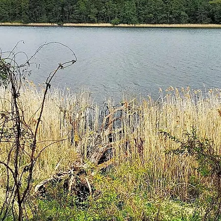 Szablewski Dymaczewo Nowe