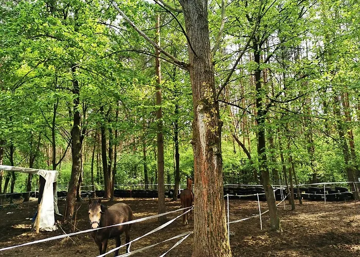 Ξενοδοχείο Szablewski 3*