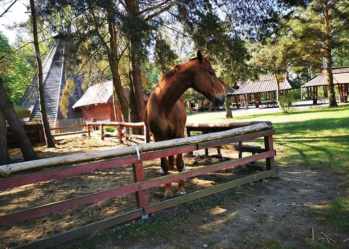 Szablewski 3* Dymaczewo Nowe